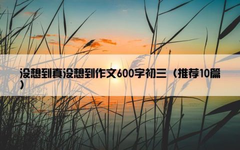 没想到真没想到作文600字初三（推荐10篇）
