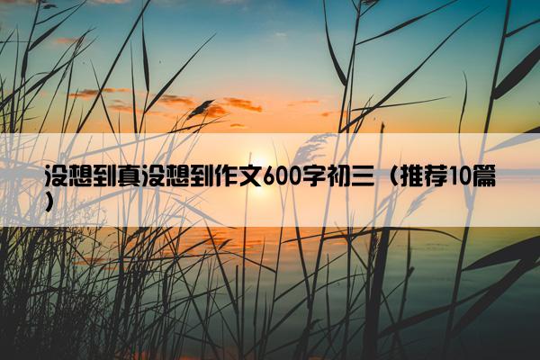 没想到真没想到作文600字初三（推荐10篇）