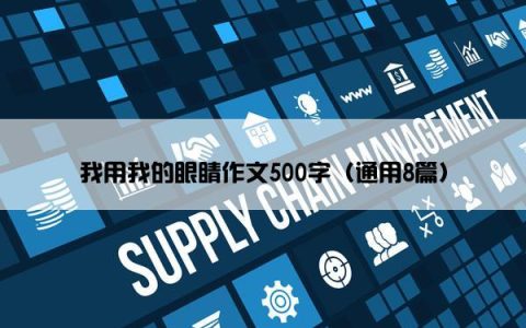 我用我的眼睛作文500字（通用8篇）