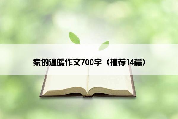 家的温暖作文700字（推荐14篇）