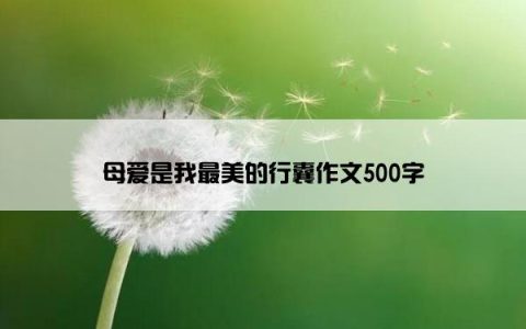 母爱是我最美的行囊作文500字