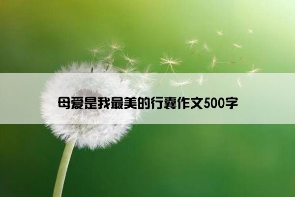 母爱是我最美的行囊作文500字