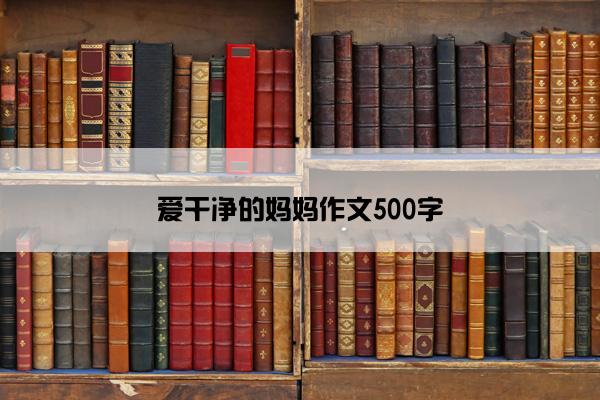 爱干净的妈妈作文500字