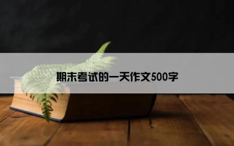 期末考试的一天作文500字