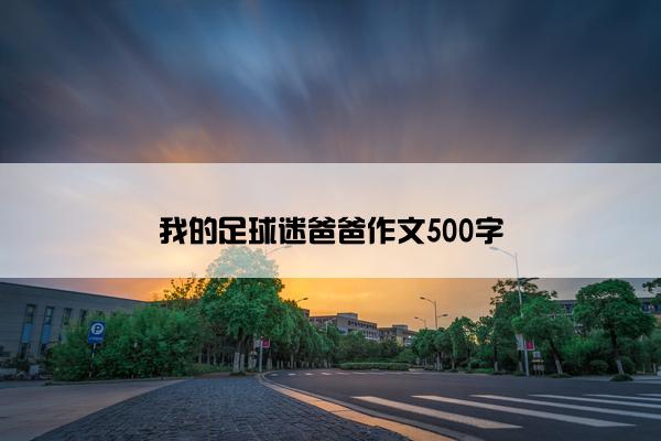 我的足球迷爸爸作文500字