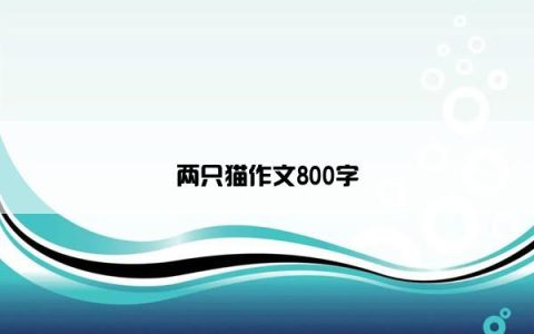 两只猫作文800字