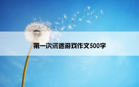 第一次沉迷游戏作文500字