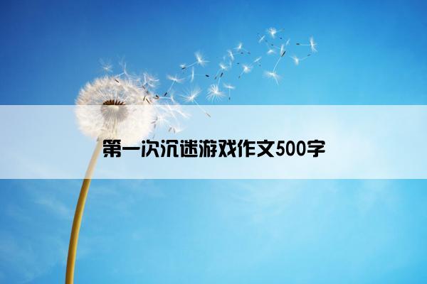 第一次沉迷游戏作文500字