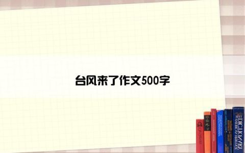 台风来了作文500字