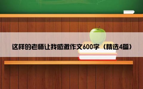 这样的老师让我感激作文600字（精选4篇）