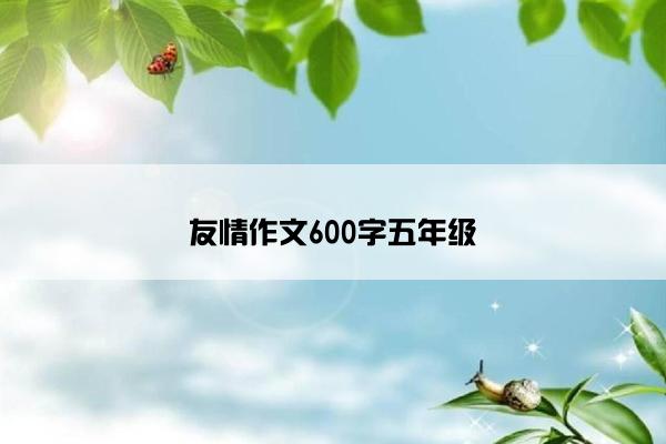 友情作文600字五年级