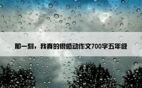那一刻，我真的很感动作文700字五年级
