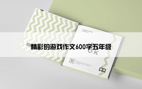 精彩的游戏作文600字五年级
