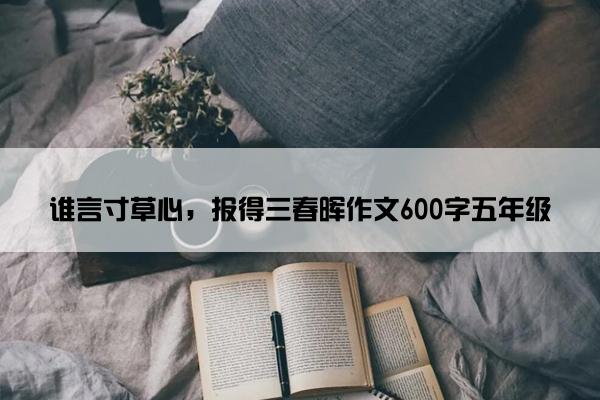 谁言寸草心，报得三春晖作文600字五年级