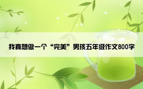 我真想做一个“完美”男孩五年级作文800字