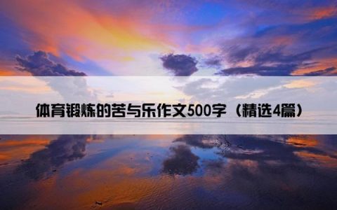 体育锻炼的苦与乐作文500字（精选4篇）