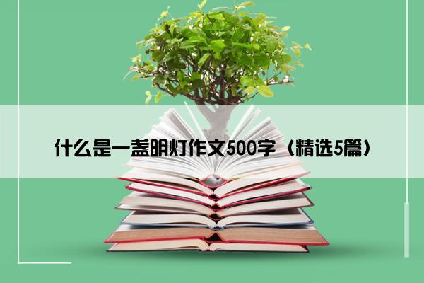 什么是一盏明灯作文500字（精选5篇）