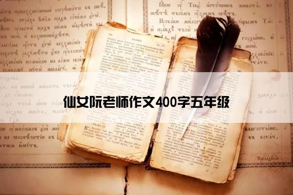 仙女阮老师作文400字五年级