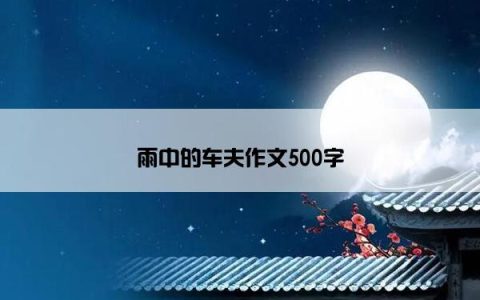 雨中的车夫作文500字