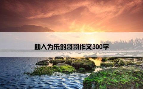 助人为乐的哥哥作文300字