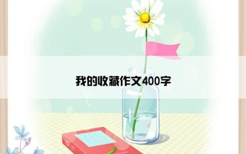 我的收藏作文400字