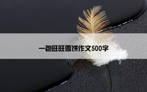 一包旺旺雪饼作文500字