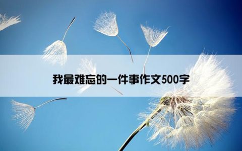 我最难忘的一件事作文500字