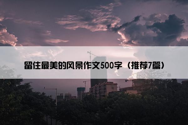 留住最美的风景作文500字（推荐7篇）