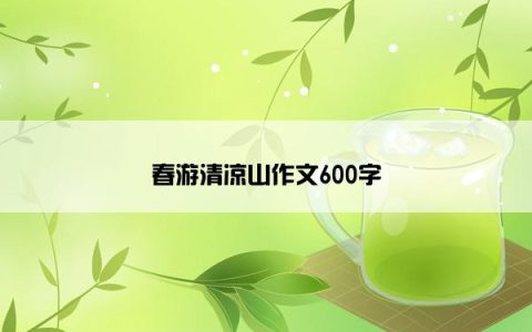 春游清凉山作文600字