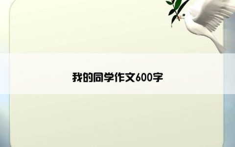 我的同学作文600字