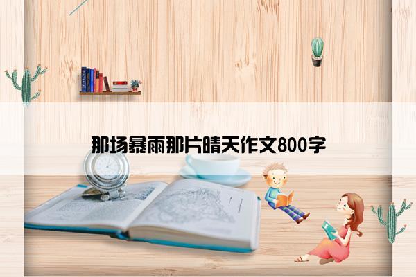 那场暴雨那片晴天作文800字