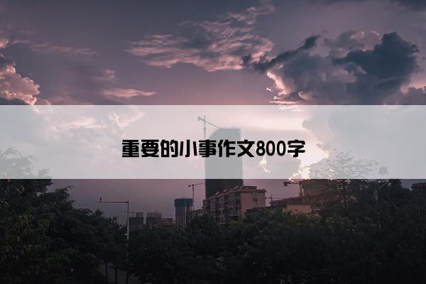 重要的小事作文800字