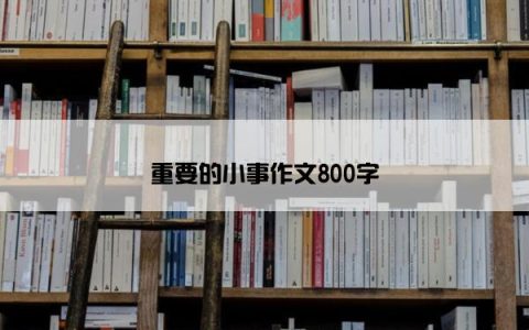 重要的小事作文800字
