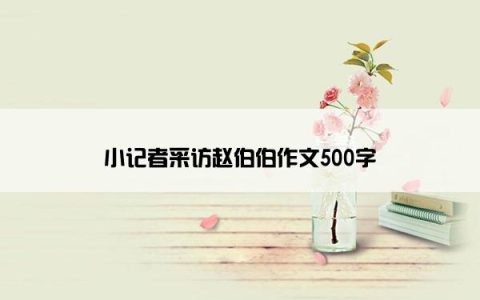 小记者采访赵伯伯作文500字