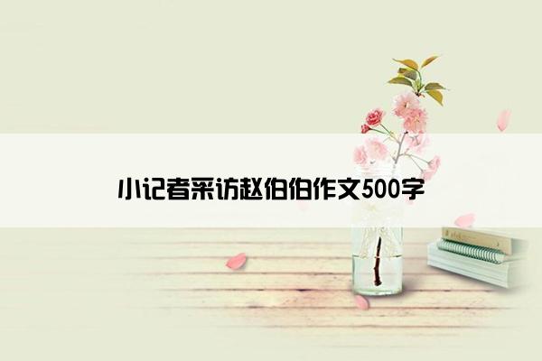 小记者采访赵伯伯作文500字