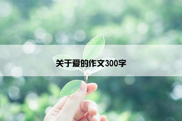 关于爱的作文300字