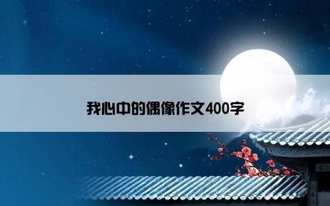 我心中的偶像作文400字