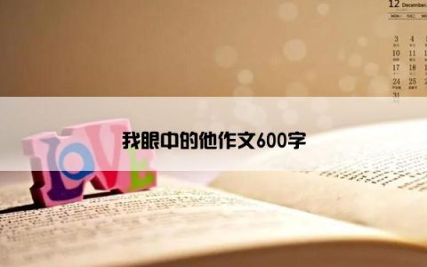 我眼中的他作文600字