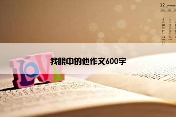 我眼中的他作文600字