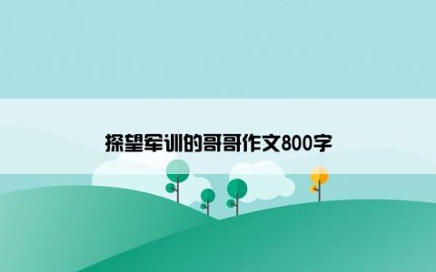 探望军训的哥哥作文800字