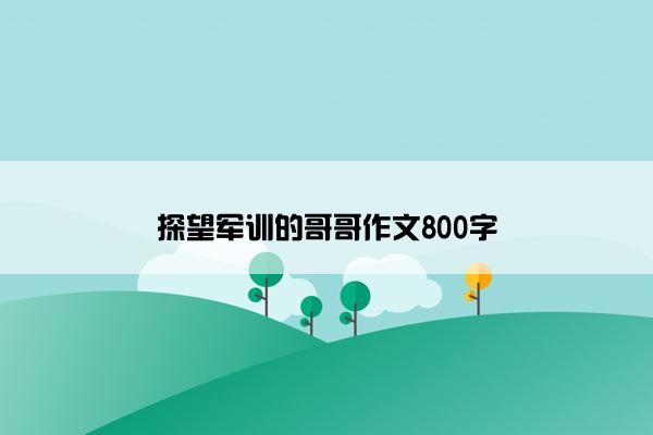 探望军训的哥哥作文800字