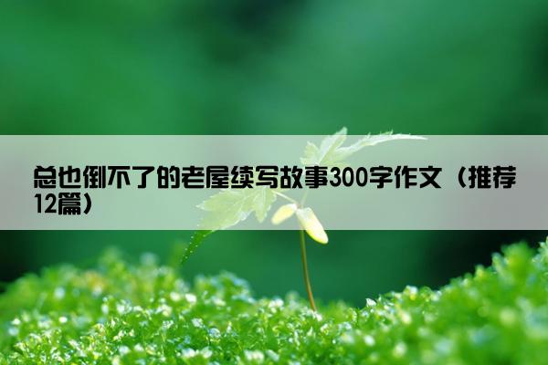 总也倒不了的老屋续写故事300字作文（推荐12篇）