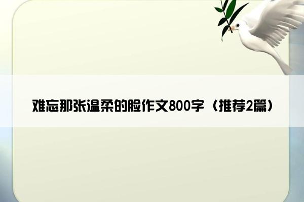 难忘那张温柔的脸作文800字（推荐2篇）