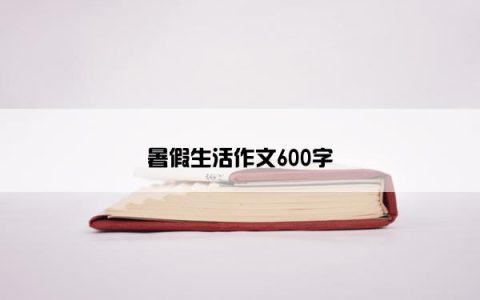 暑假生活作文600字