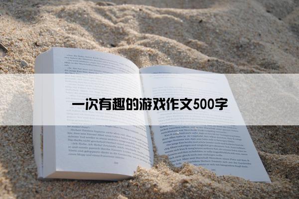 一次有趣的游戏作文500字