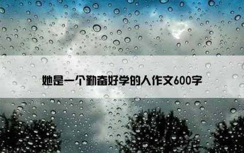 她是一个勤奋好学的人作文600字