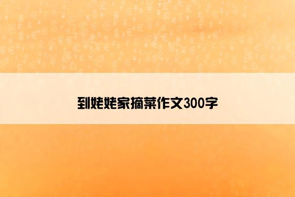 到姥姥家摘菜作文300字