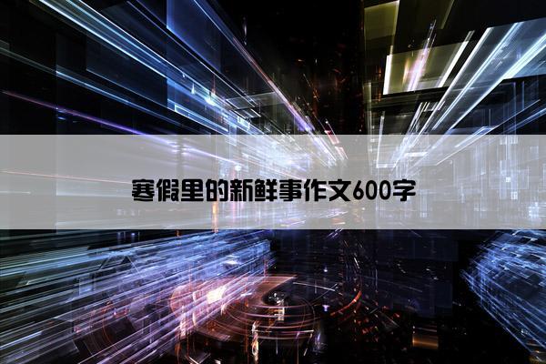 寒假里的新鲜事作文600字