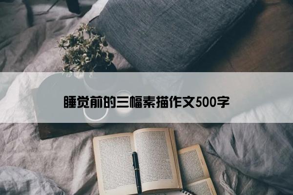 睡觉前的三幅素描作文500字