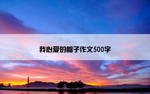 我心爱的帽子作文500字